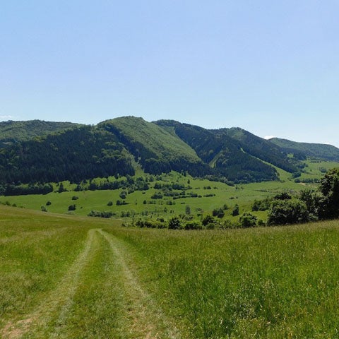 Příroda v okolí Čadci