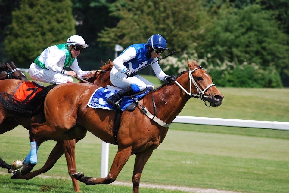 pardubice_racecourse.jpg