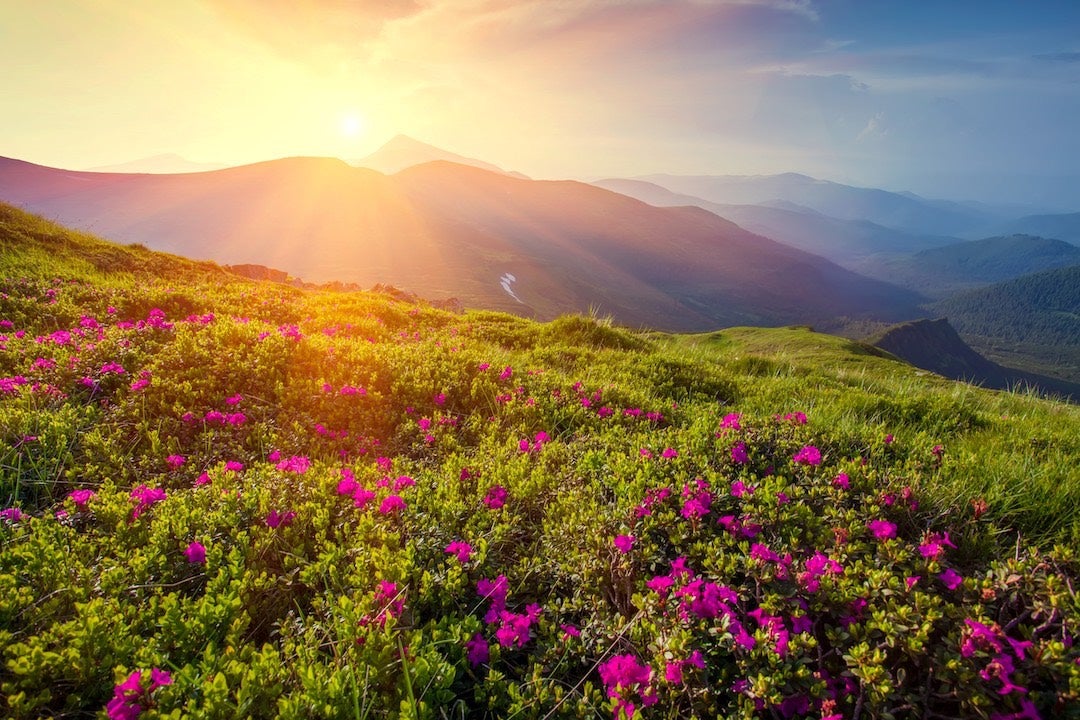 rachov_hoverla_RGB-squashed.jpg