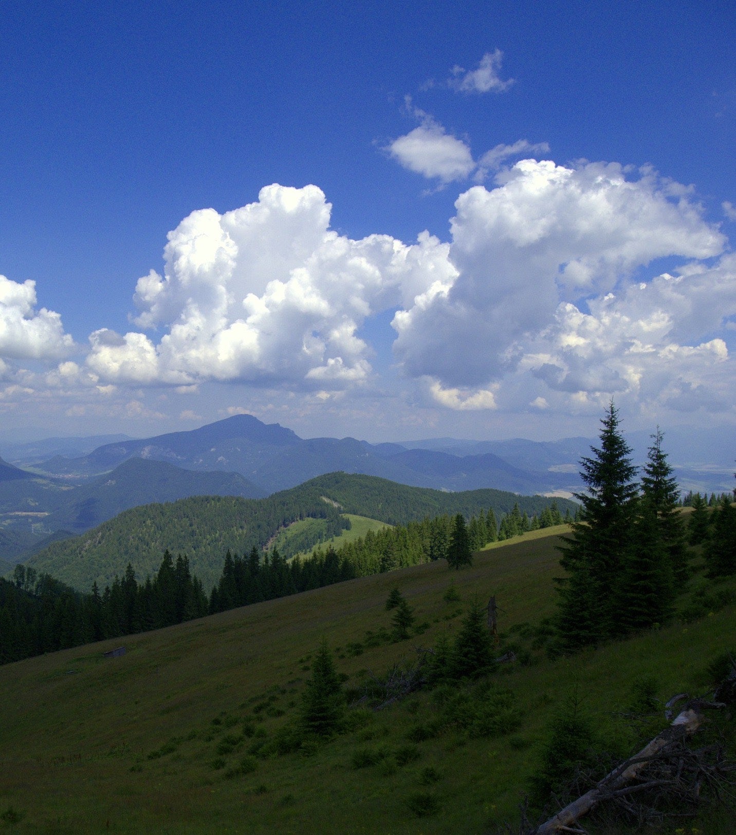 Up on the Fatra